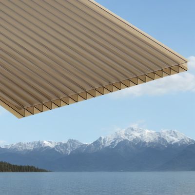 良い価格 6mm 4*8 フィートポリカーボネットホールシート 多壁構造 最適な熱隔熱と光伝達のために オンライン