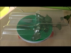 屋根裏灯のPETタイル