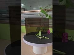 3mm ブラウン 固体ポリカーボネートシート 耐衝撃 片面UVカット