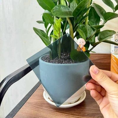 良い価格 UVカット グレー ポリカーボネート ソリッドシート 厚さ1.0mm～18.0mm オンライン